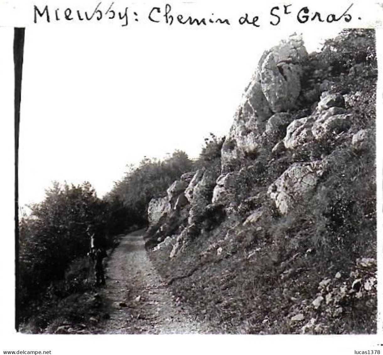74  / MIEUSSY / CHEMIN DE  SAINT GRAS  / DEBUT 20 EME  / PLAQUE DE VERRE PHOTO STEREO / - Mieussy