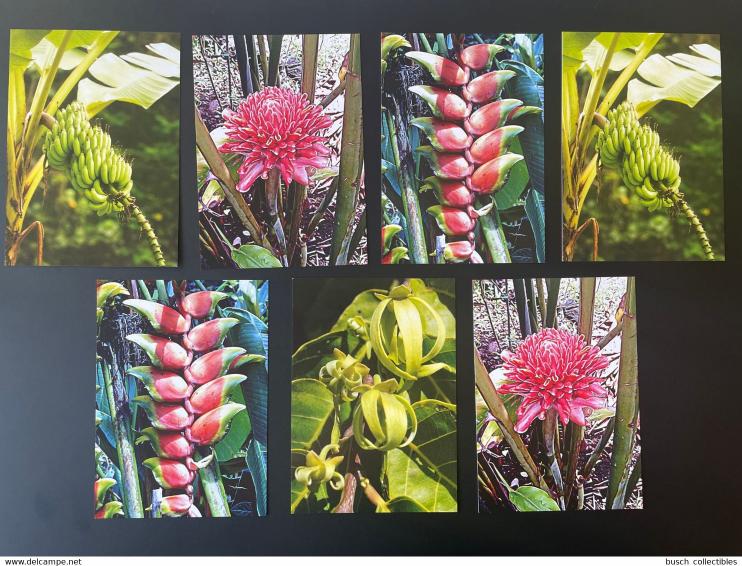 Comores Comoros 2011 Stationery Entier Ganzsache Plantes Pflanzen Plants Flore Flora - Comoren (1975-...)