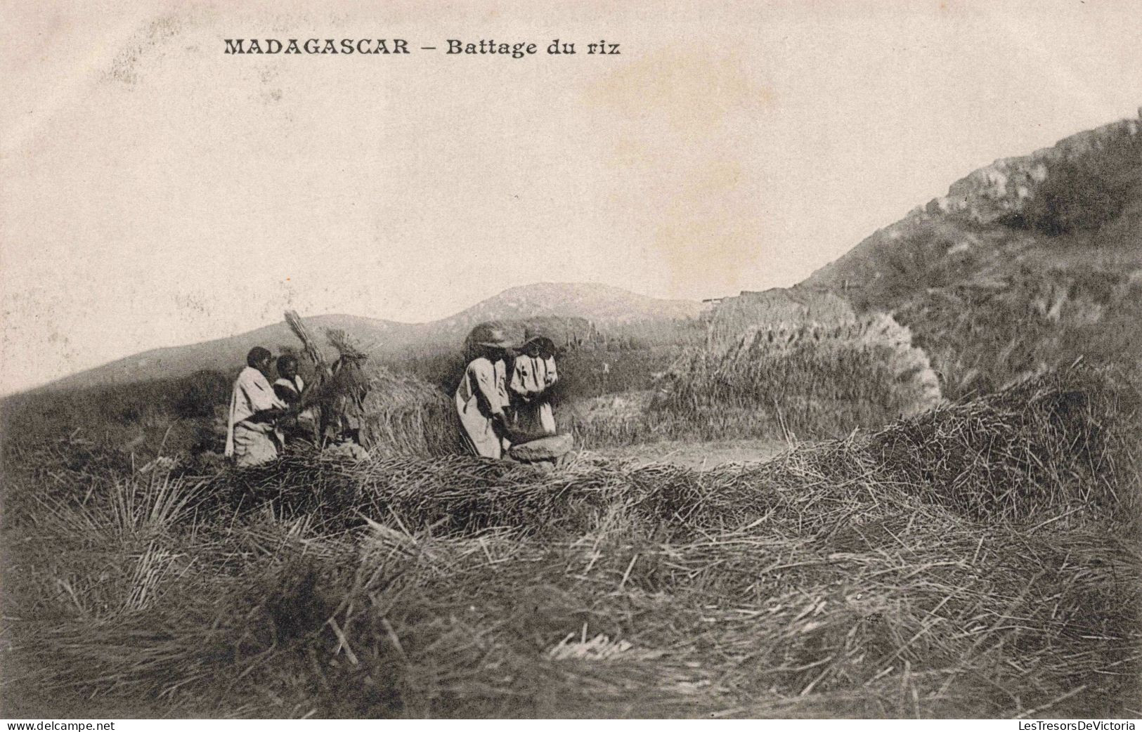 MADAGASCAR - Battage De Riz - Rizières - Champs - Montagnes - Animé - Carte Postale Ancienne - Madagascar