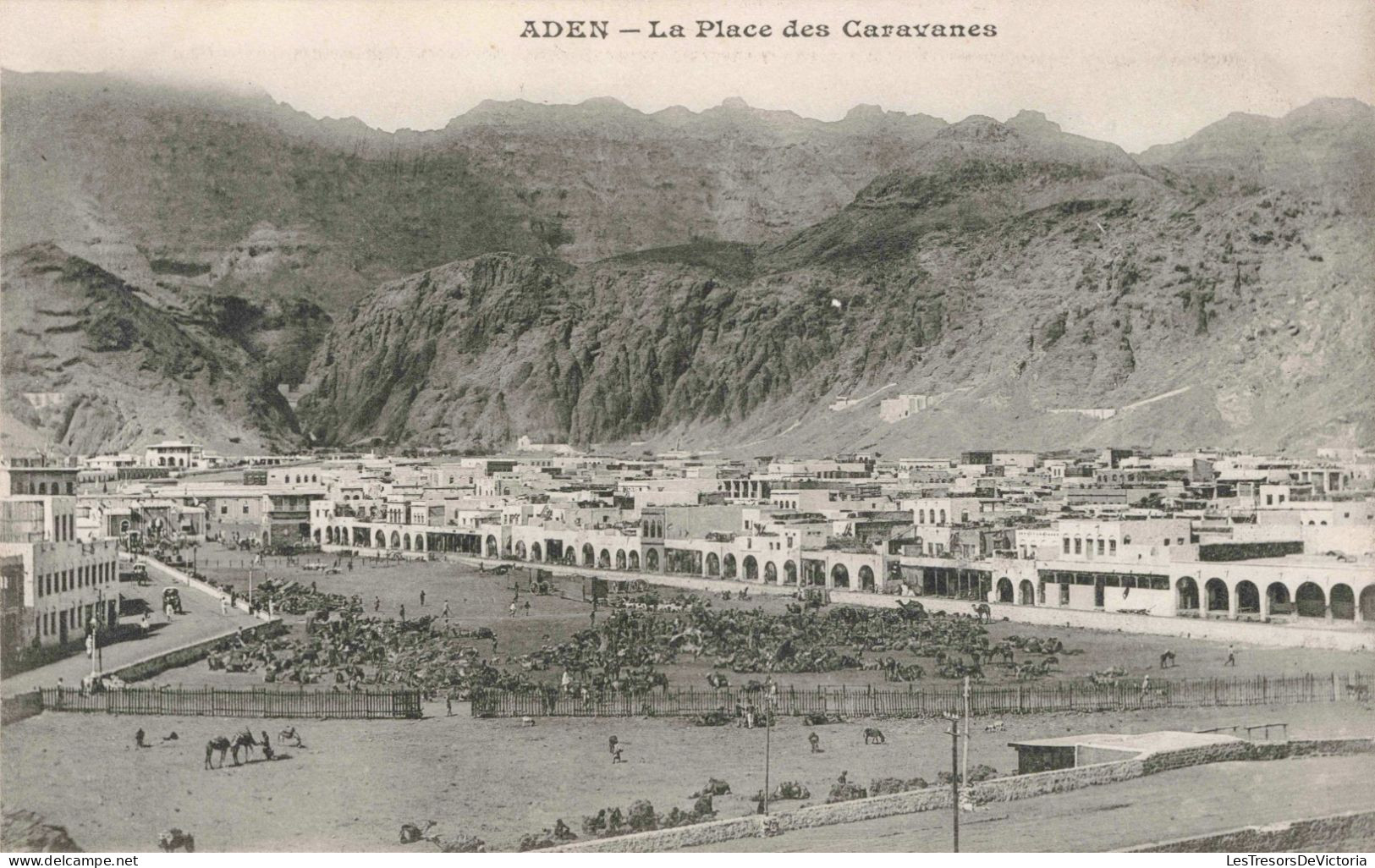 YEMEN - Aden - La Place Des Caravanes - Ville - Chameaux - Animé - Carte Postale Ancienne - Yemen