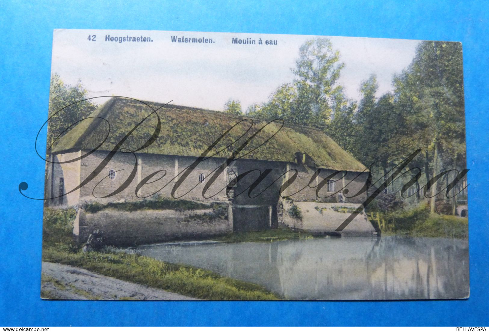 Hoogstraten Watermolen Moulin à Eau.  1914 - Hoogstraten