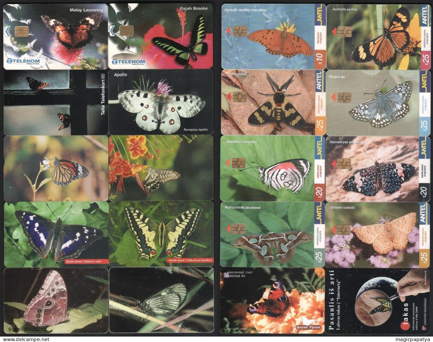 Butterfly Phonecards Lot (20 Pcs) - Mariposas