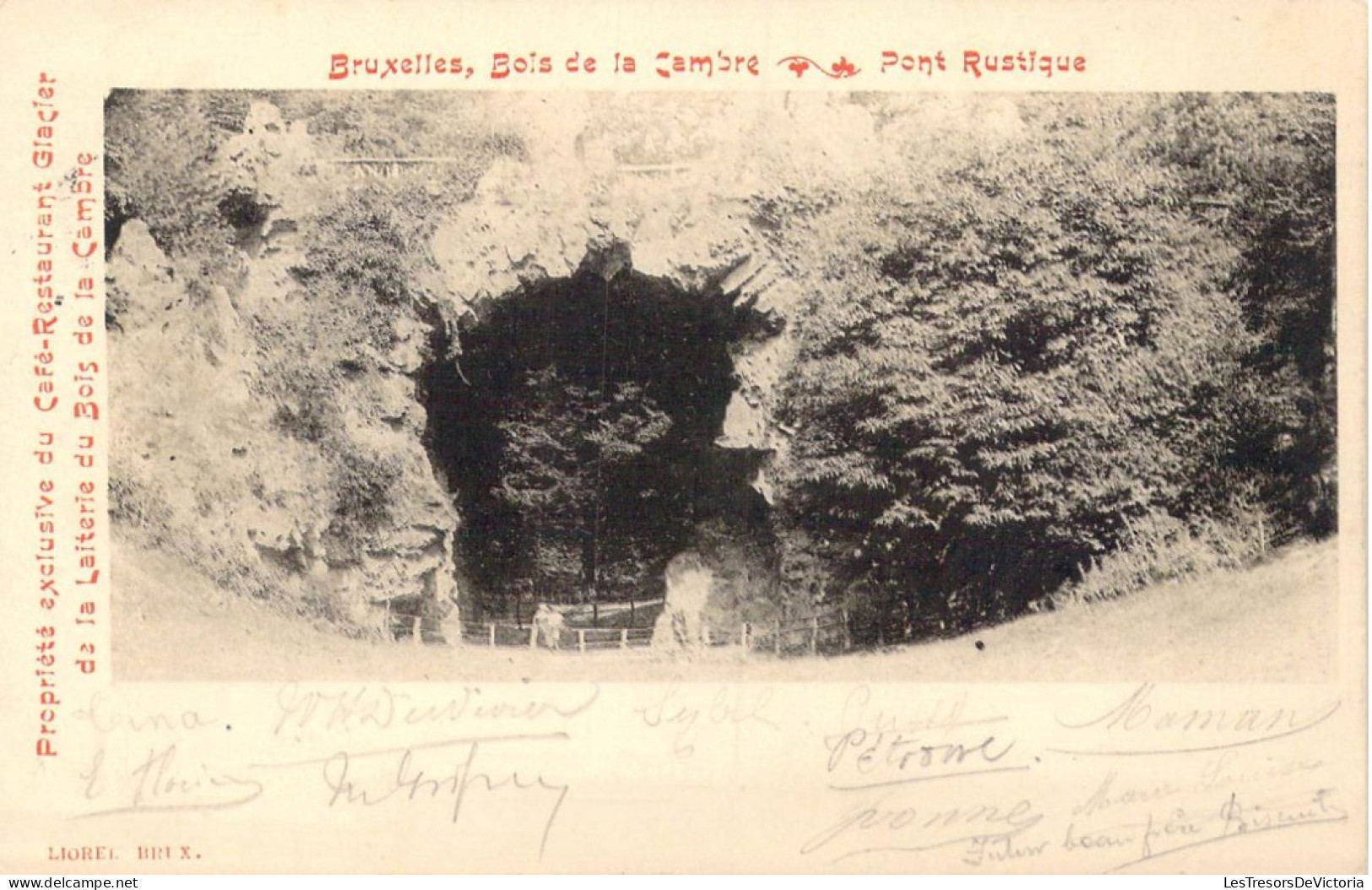 BELGIQUE - Bruxelles - Bois De La Cambre - Pont Rustique - Carte Postale Ancienne - Bosques, Parques, Jardines
