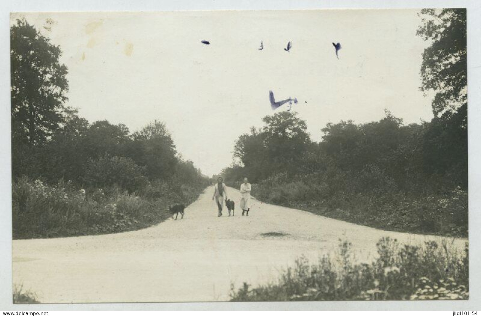 Tremblay En France (les Gonnesse), Le Bois Saint Denis Conduisant à La Gare (lt3) - Tremblay En France