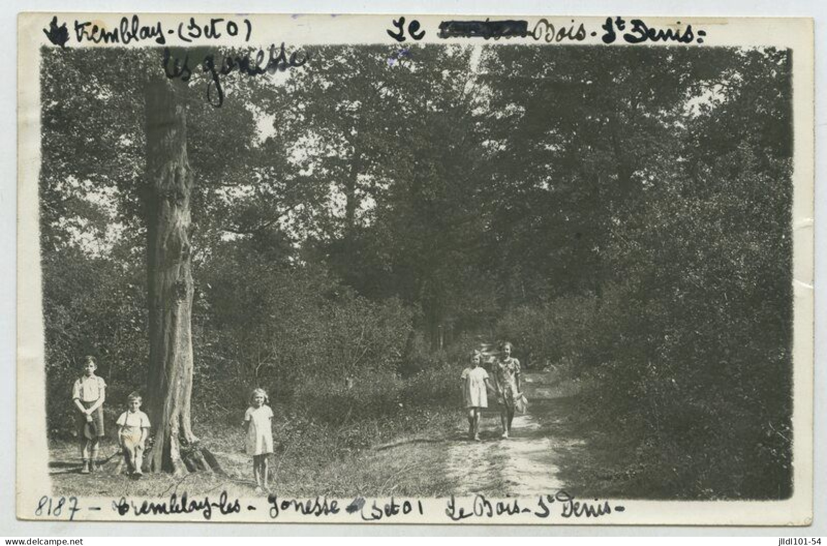 Tremblay En France (les Gonnesse), Le Bois Saint Denis (lt3) - Tremblay En France