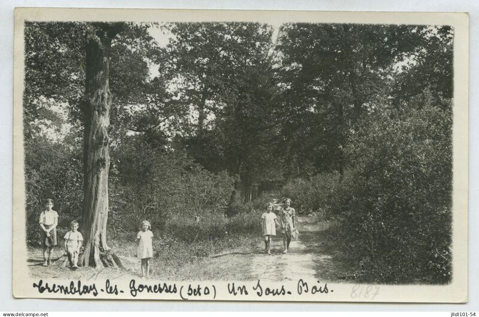 Tremblay En France (les Gonnesse), Un Sous-bois (lt3) - Tremblay En France