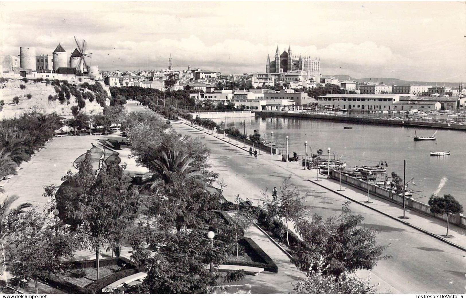 ESPAGNE - Mallorca - Palma - Vista Desde Paseo Maritimo - Carte Postale Ancienne - Mallorca