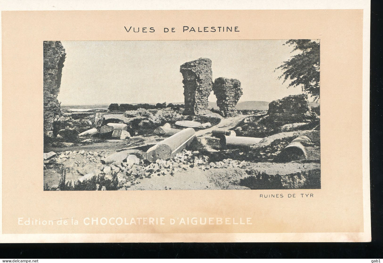 Vues De Palestine --- Ruines De Tyr - Palestine