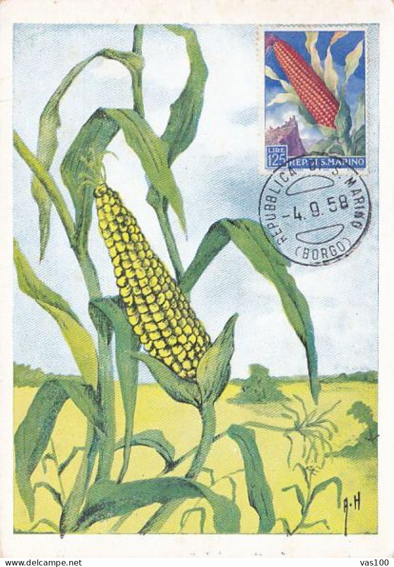 AGRICULTURE, CEREALS, MAIZE, CORN, CM, MAXICARD, CARTES MAXIMUM, 1958, SAN MARINO - Agriculture