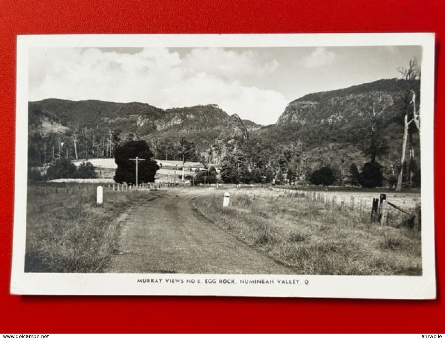 AK Australien Australia Murray Views Egg Rock Numinbah Valley Old Postcard - Towoomba / Darling Downs