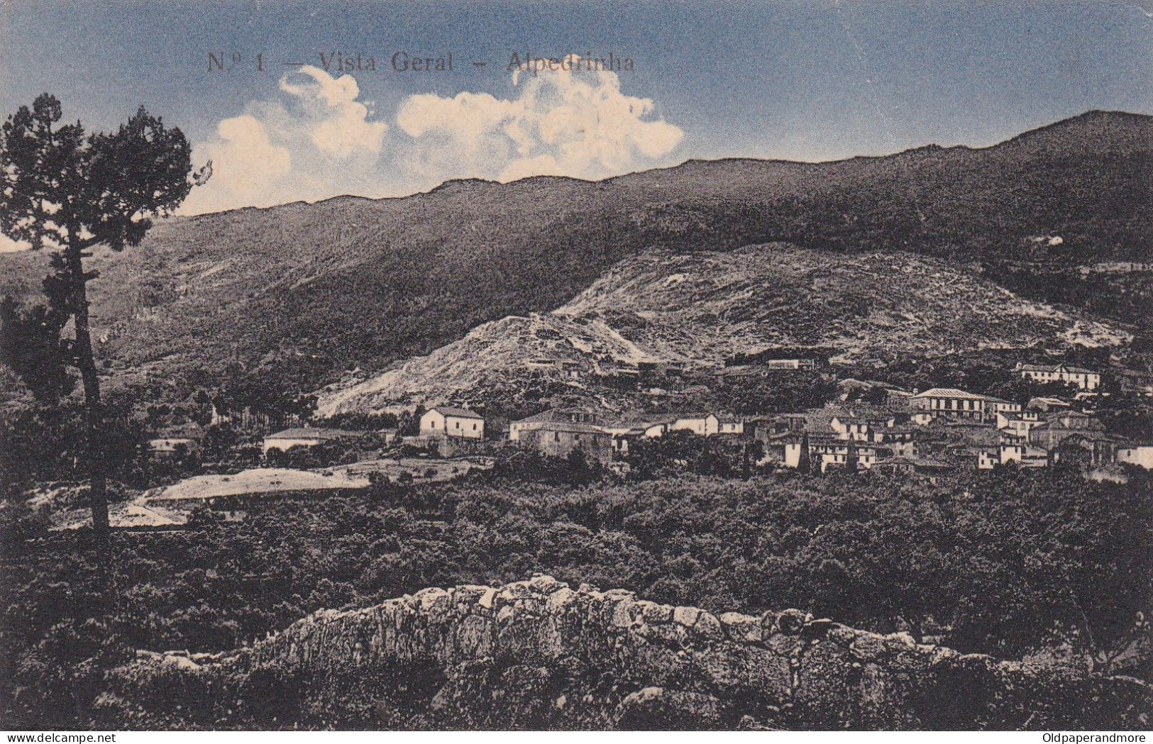 POSTCARD PORTUGAL - ALPEDRINHA - VISTA GERAL - Castelo Branco