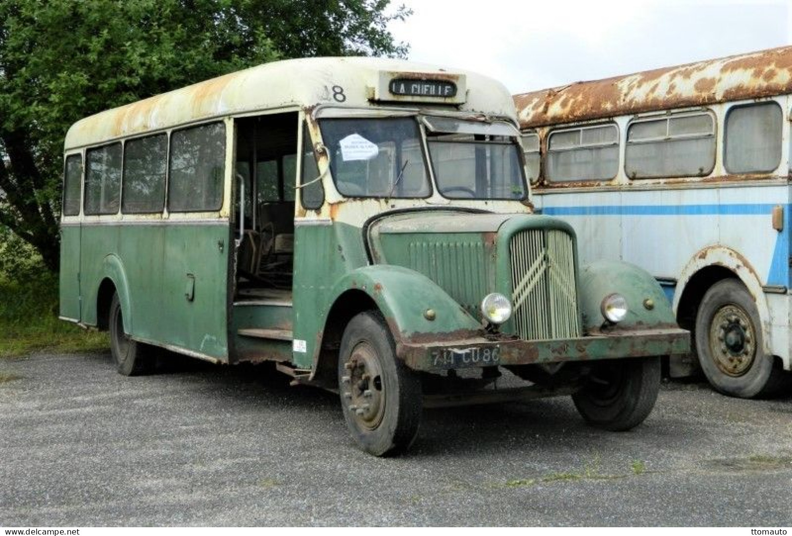 Citroen Type U23 Ancien Autobus  -  La Cufille  - 15x10cms PHOTO - Bus & Autocars