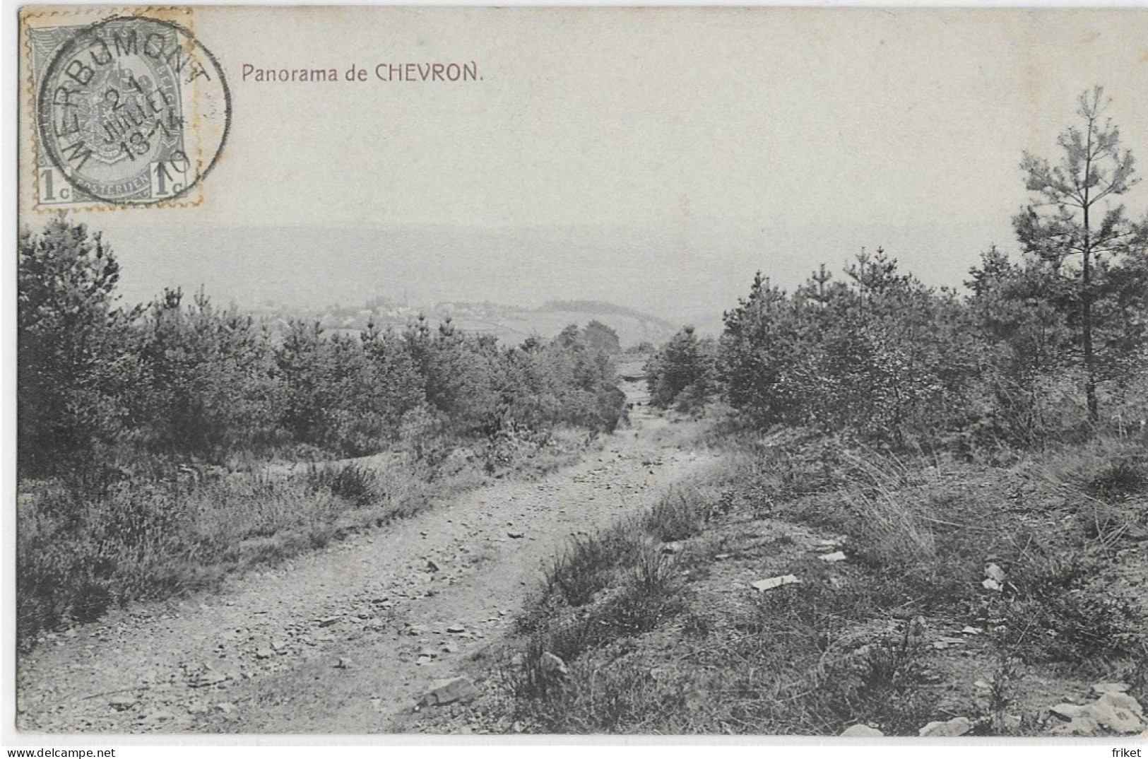 - 3153 - CHEVRON  (Stoumont Et Environs )  Panorama - Stoumont