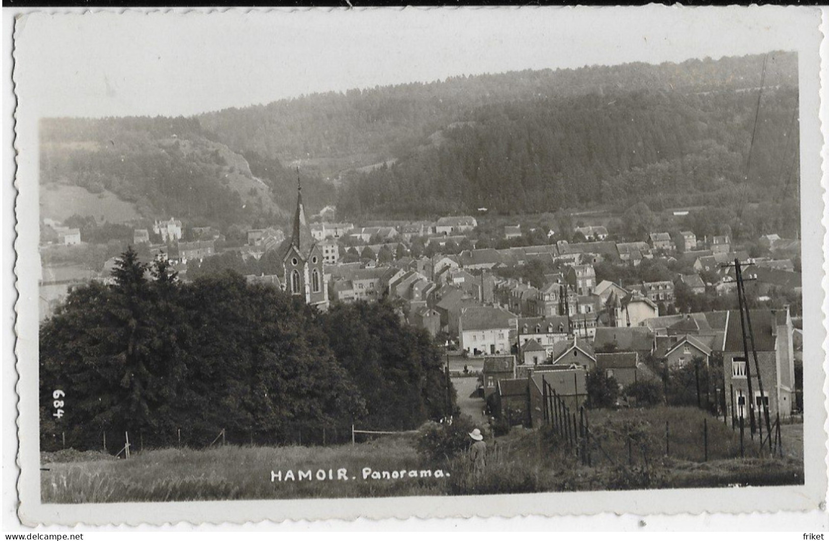 - 3156 - HAMOIR  Panorama ( Photo Carte Mosa ) - Hamoir