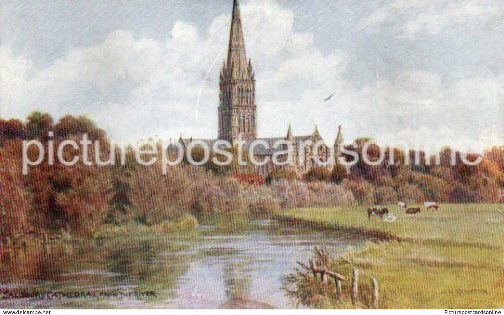 SALISBURY CATHEDRAL FROM RIVER OLD COLOUR ART POSTCARD ARTIST SIGNED A.R. QUINTON SALMON NO 1550 - Quinton, AR