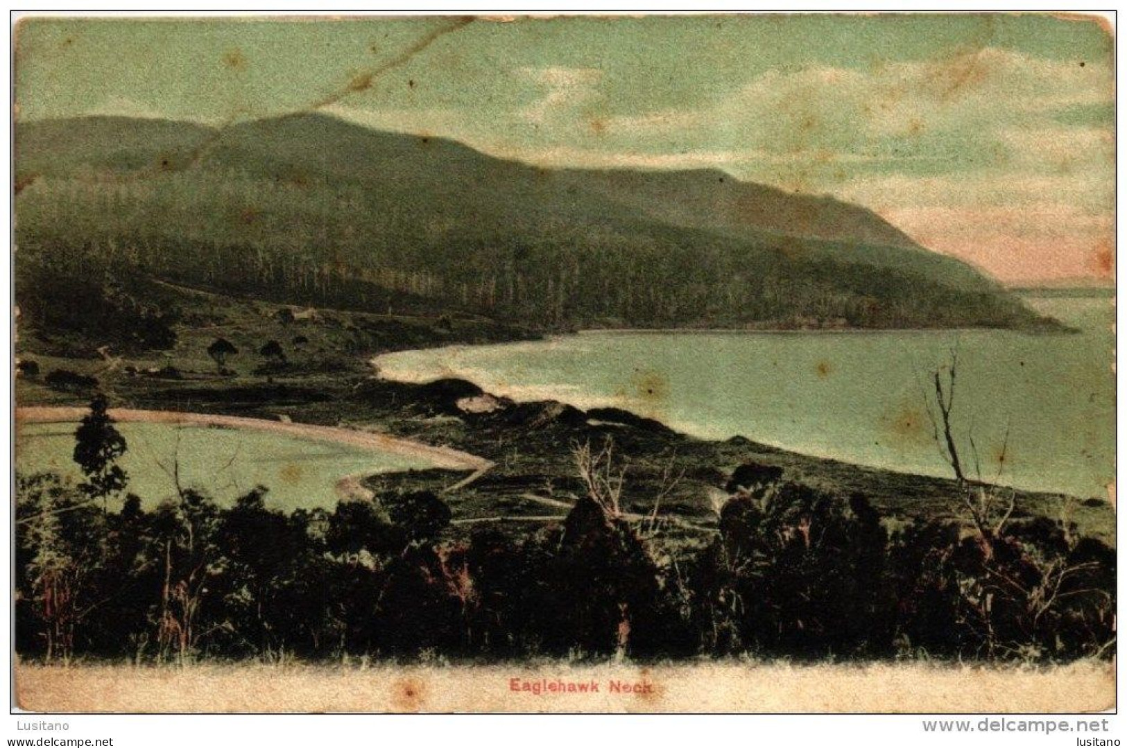 TASMANIA EAGLEHAWAK NECK AUSTRALIA VINTAGE POSTCARD (2 SCANS) - Altri & Non Classificati