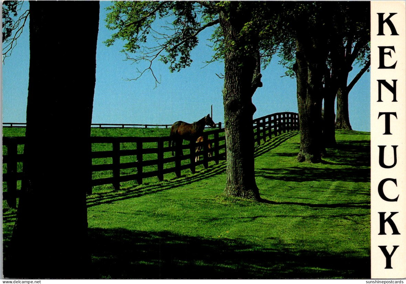 Kentucky Lexington Beautiful Central Kentucky Horse Farm - Lexington