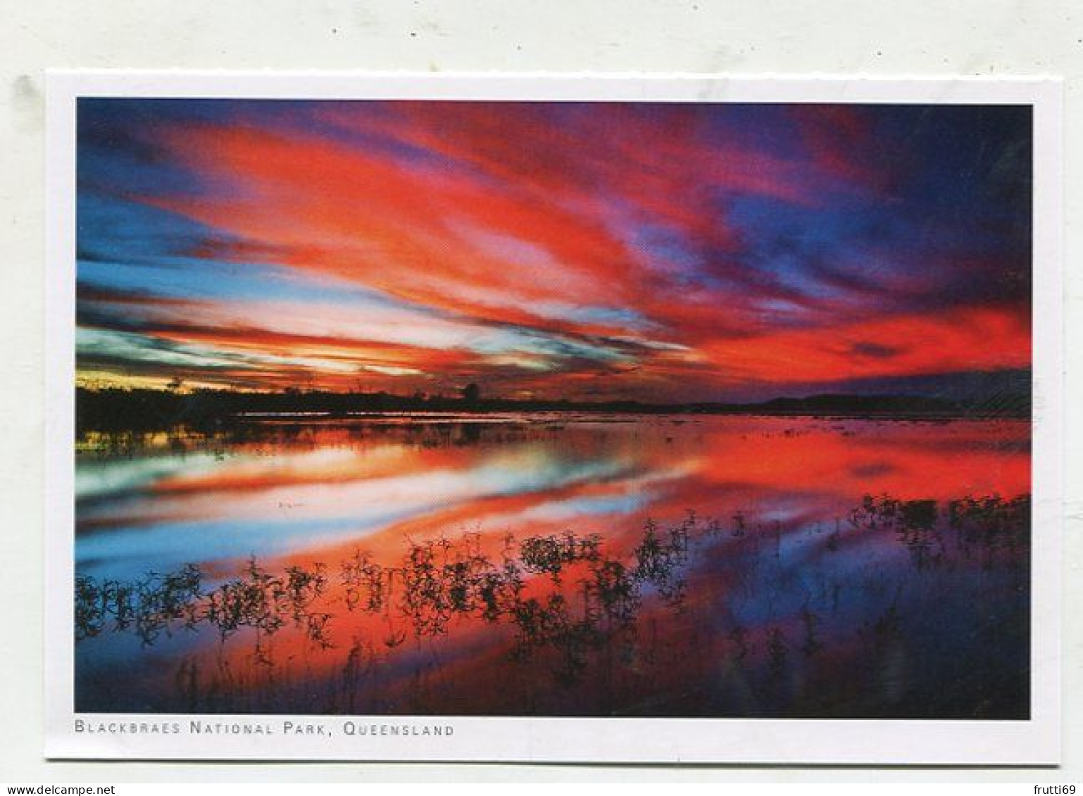 AK 145736 AUSTRALIA - Queensland - Blackbraes National Park - Sonstige & Ohne Zuordnung