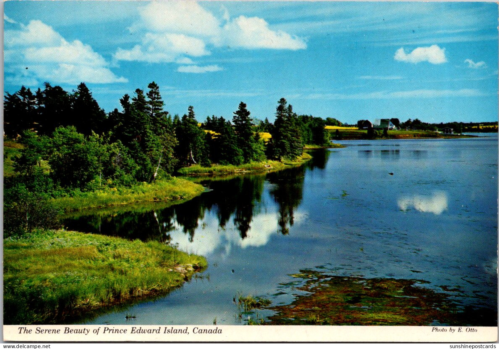 Canada Prince Edward Island Beutiful Coastline - Altri & Non Classificati