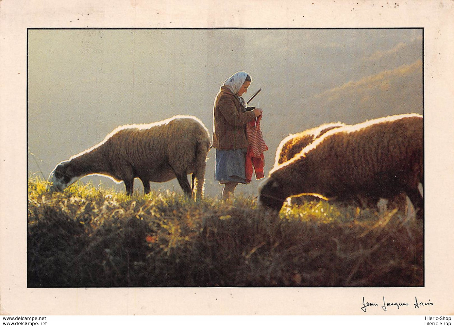 Photographe Jean-Jacques ARCIS - La Gardeuse De Moutons - Otros & Sin Clasificación