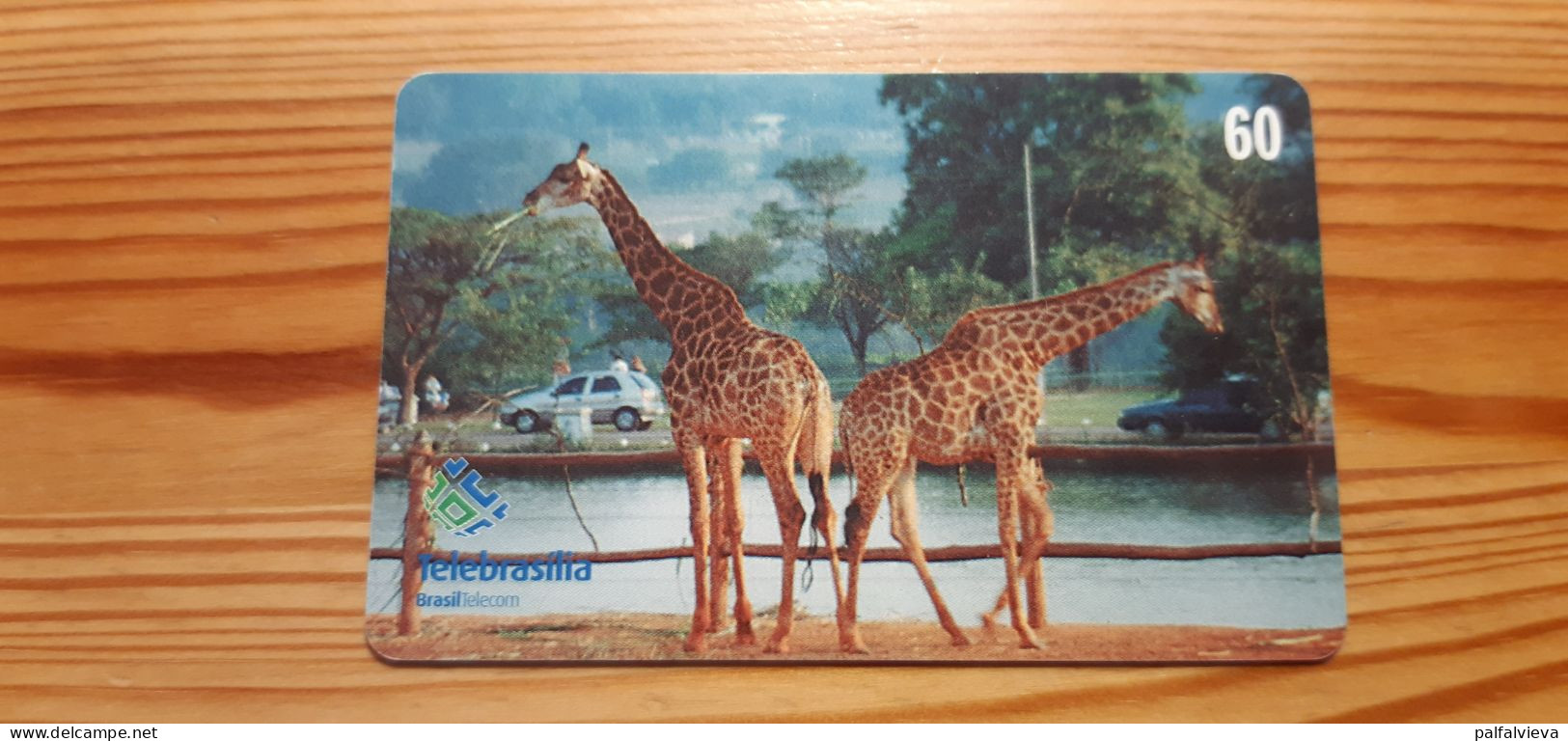 Phonecard Brazil - Giraffe - Brasilien