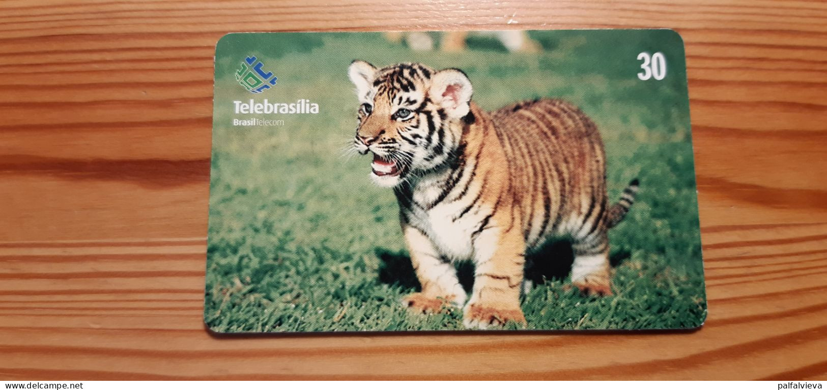 Phonecard Brazil - Tiger - Brasilien