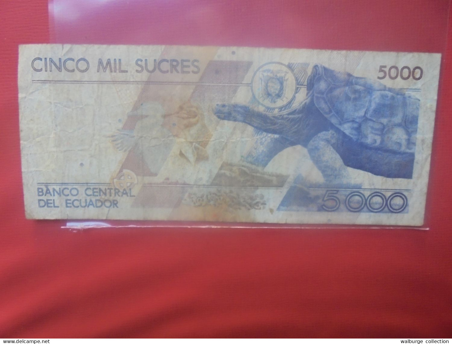 EQUATEUR 5000 SUCRES 1993 Circuler - Ecuador