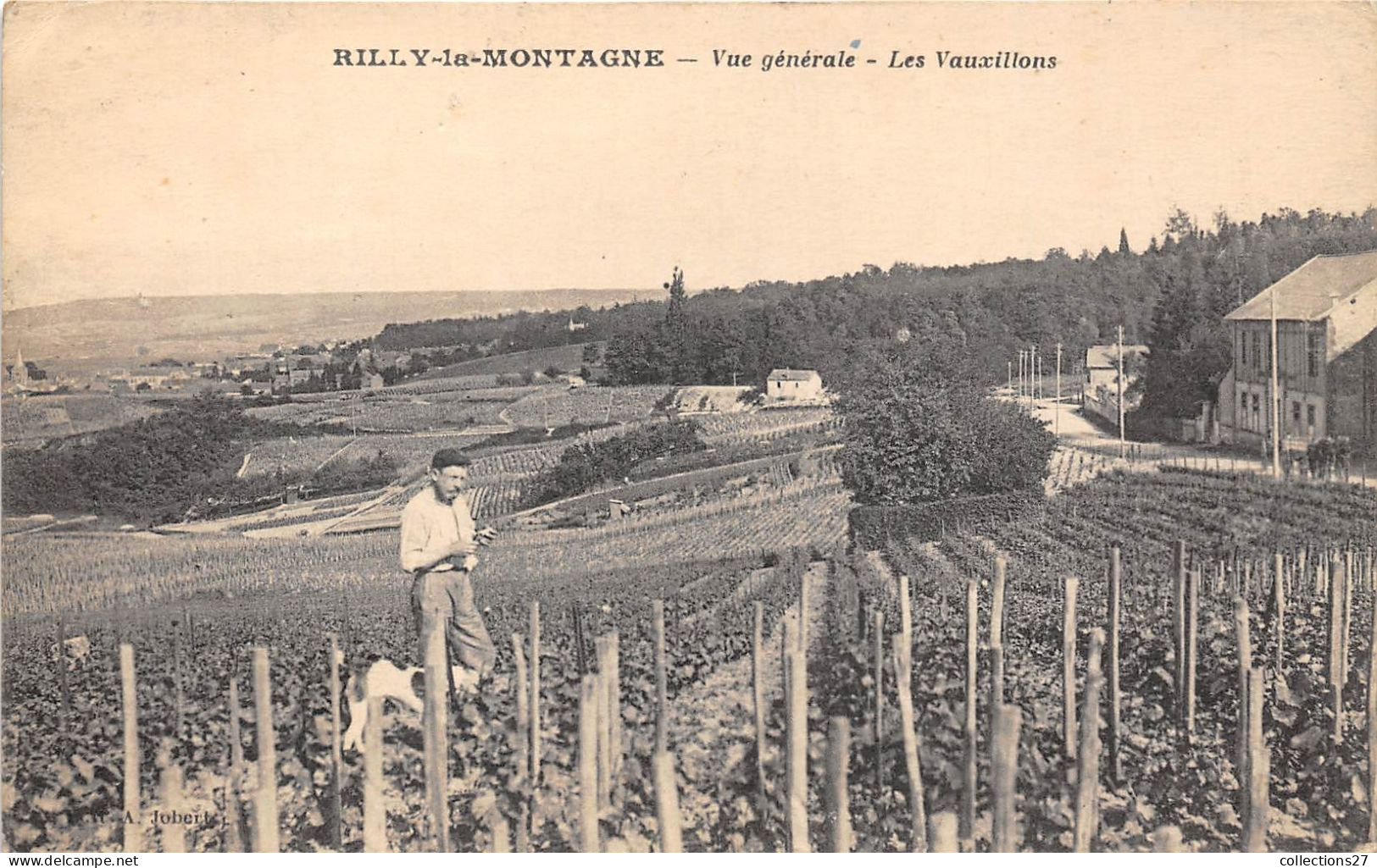 51-RILLY-LA-MONTAGNE- VUE GENERALE LES VAUXILLONS - Rilly-la-Montagne