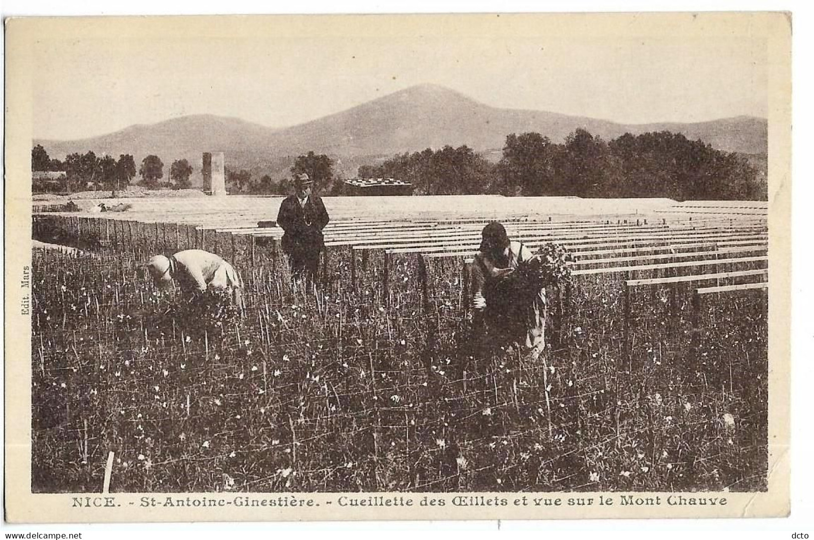 NICE St-ANTOINE-GINESTIERE Cueillette Des œillets Et Vue Sur Le Mont Chauve Ed. Giletta, Envoi 1936 - Ambachten