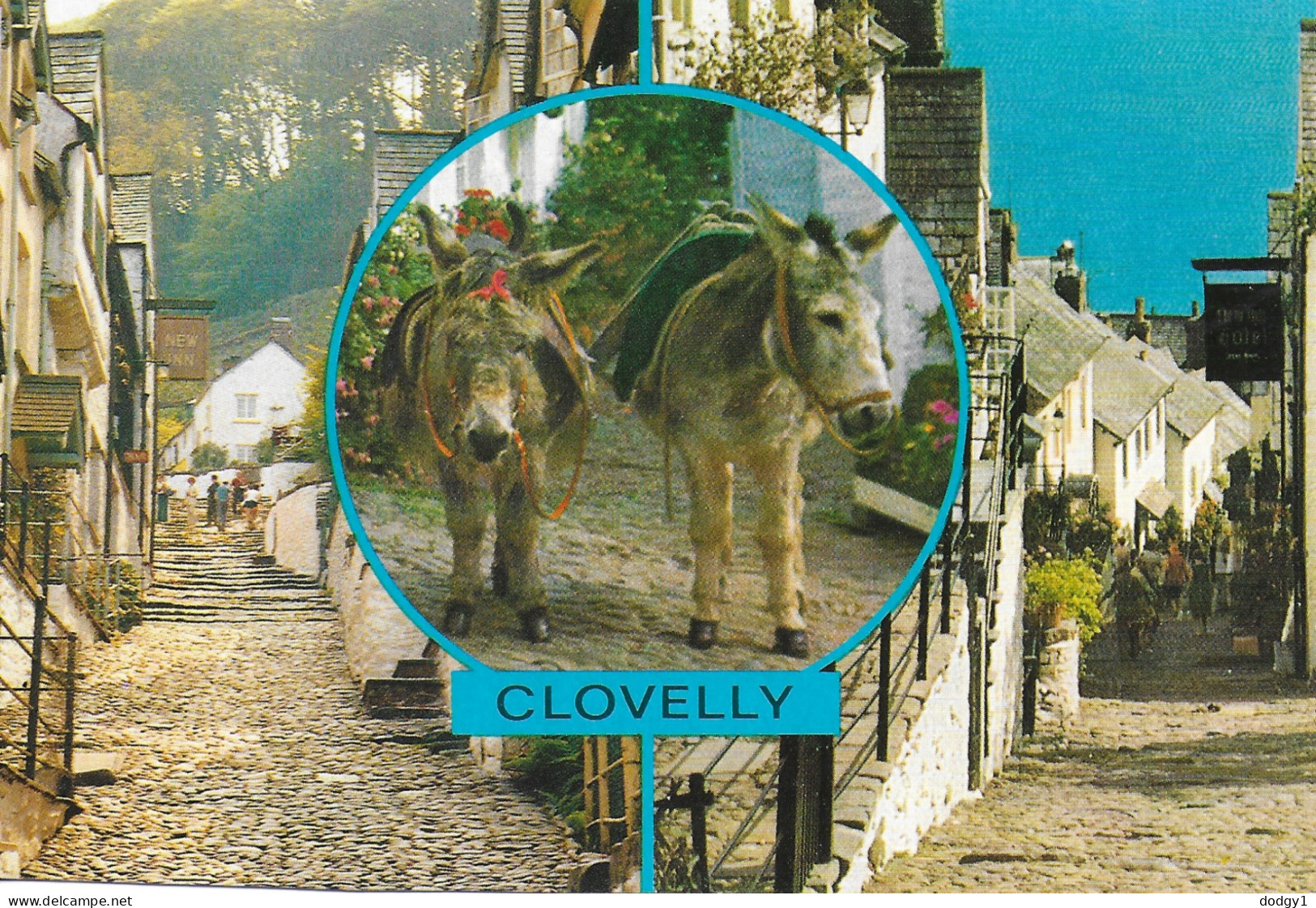 SCENES FROM CLOVELLY, DEVON, ENGLAND. UNUSED POSTCARD   Wp2 - Clovelly