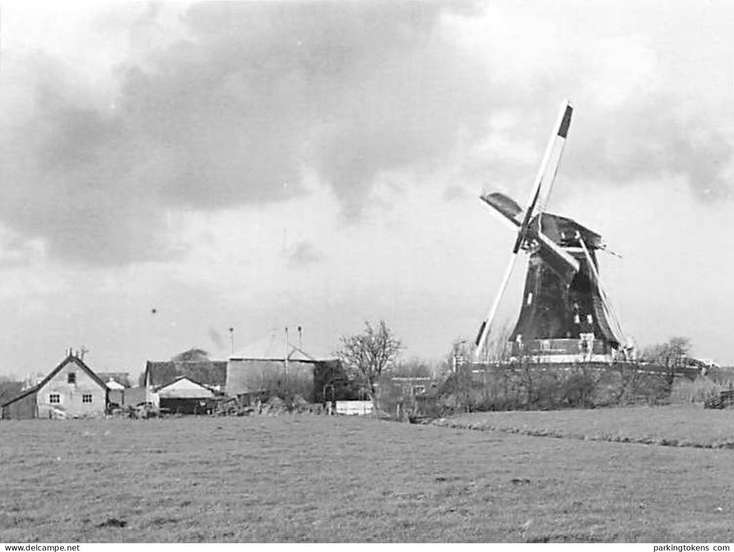 E638 - Alphen A/d Rijn - Foto Ong 13x9.5cm - Molen - Moulin - Mill - Mühle - Alphen A/d Rijn
