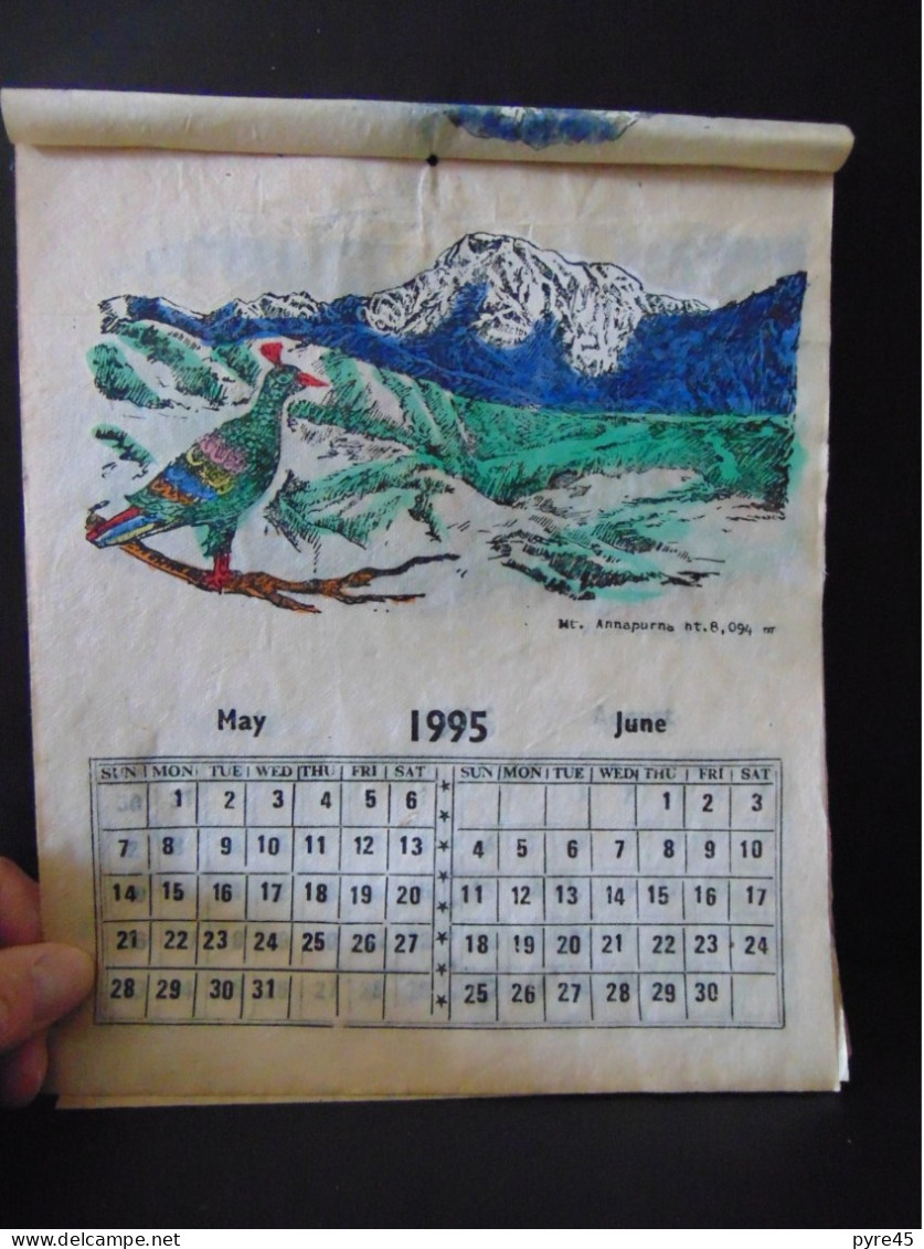 Calendrier Grand Format ( 26 X 22 Cm ) " The Himalayas Of Nepal " Année 1995, Couleurs Rehaussées à La Main  Déchirures - Big : 1991-00