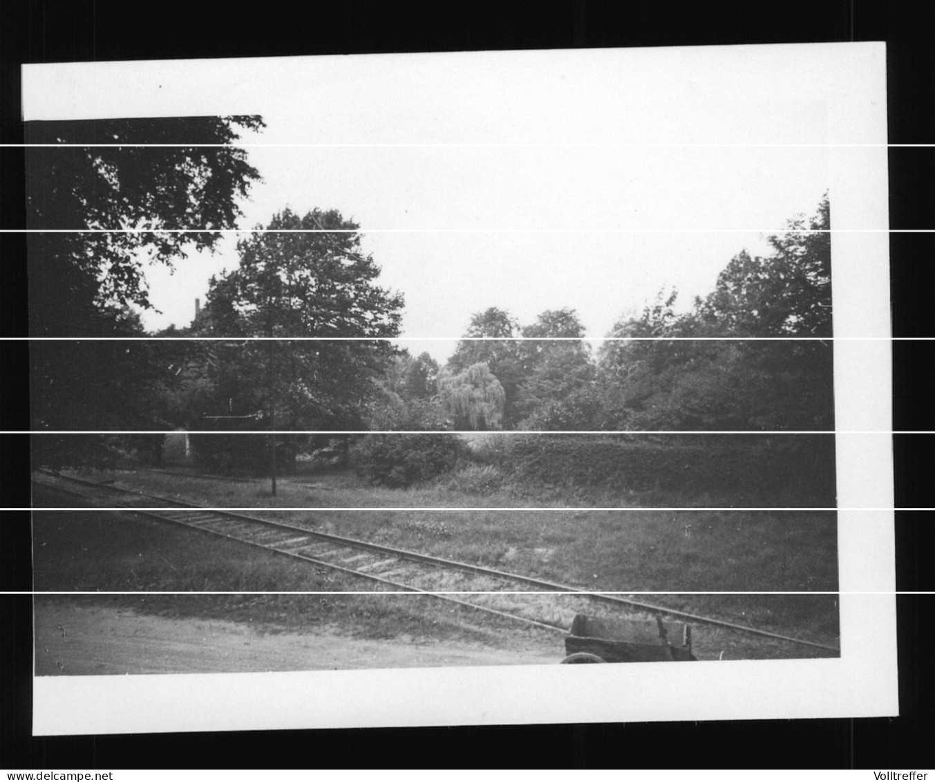 3x Orig. Foto 1937 Lippstadt Gebäude Der Brauerei Nies Weissenburg LKW Oldtimer Abholung Pferdekutschen Garten - Lippstadt