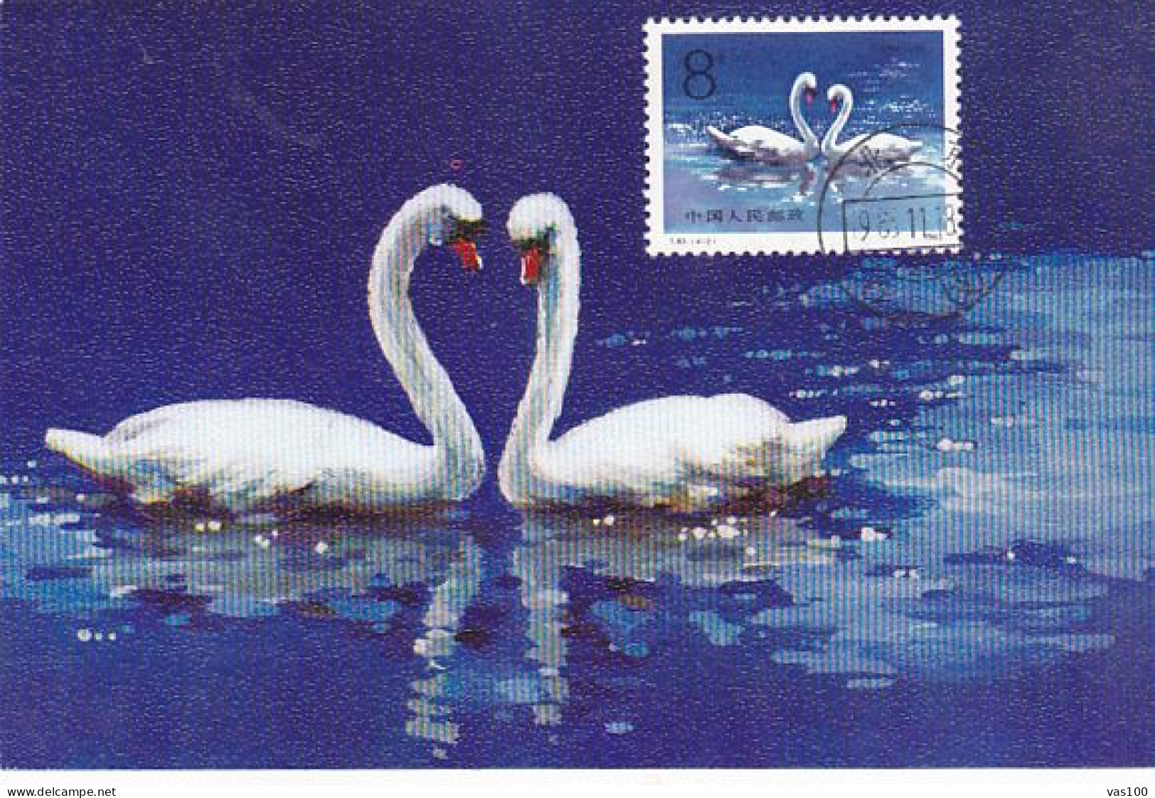 ANIMALS, BIRDS, MUTE SWANS, CM, MAXICARD, CARTES MAXIMUM, 1983, CHINA - Cygnes