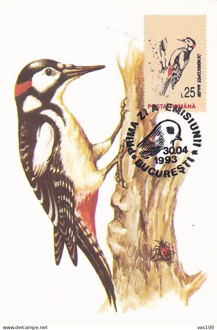 ANIMALS, BIRDS, GREAT SPOTTED WOODPECKER, CM, MAXICARD, CARTES MAXIMUM, OBLIT FDC, 1993, ROMANIA - Piciformes (pájaros Carpinteros)