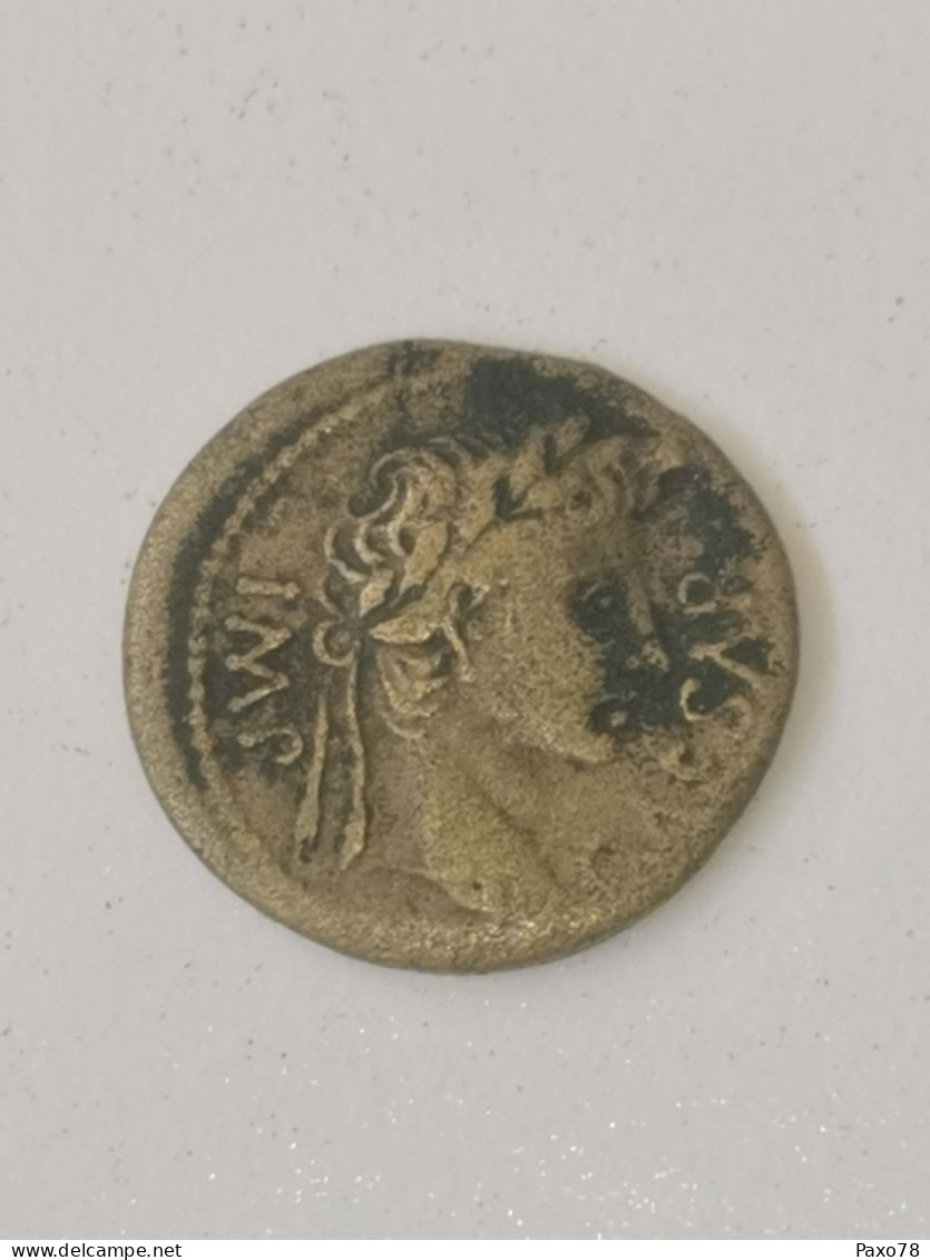 Auguste, Quadrans  Aigle . - The Julio-Claudians (27 BC Tot 69 AD)