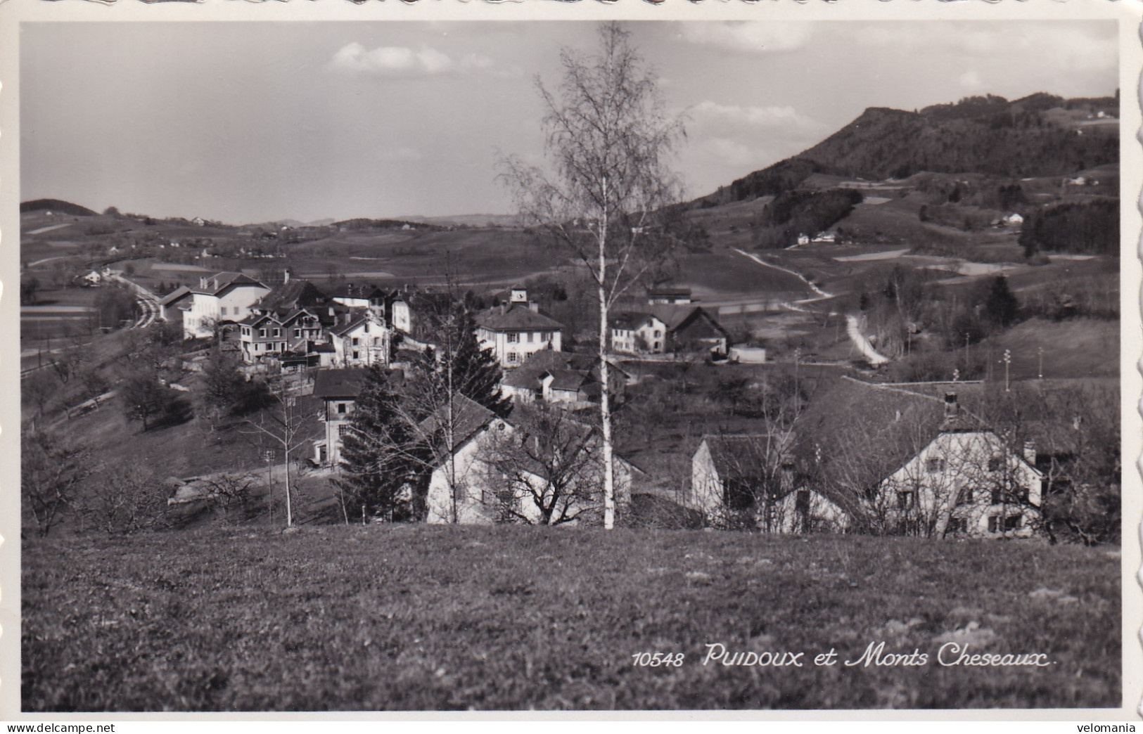 S13960 Cpsm Suisse - Puidoux Et Monts Cheseaux - Puidoux