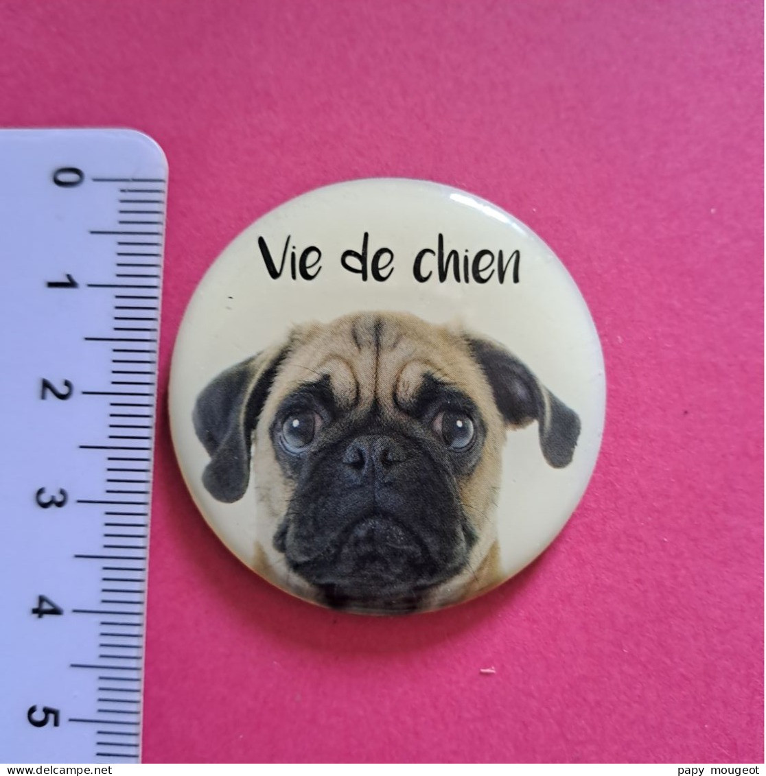 Magnet - Vie De Chien - Animales & Fauna