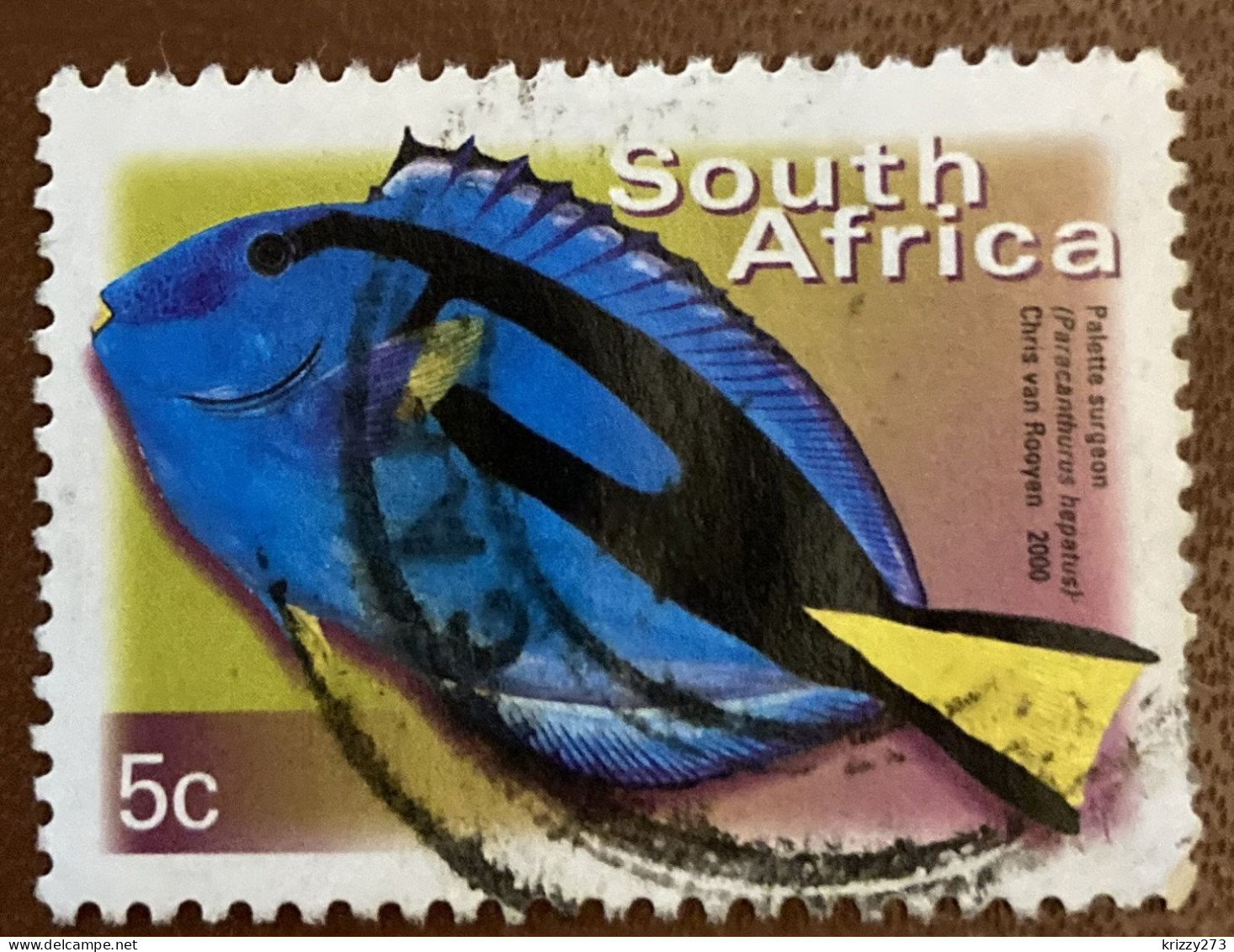 South Africa 2000 Fish Paracanthurus Hepatus 5 C - Used - Usati