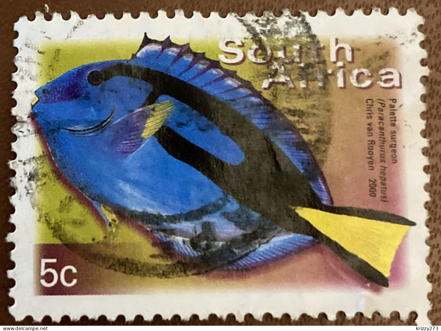 South Africa 2000 Fish Paracanthurus Hepatus 5 C - Used - Gebruikt