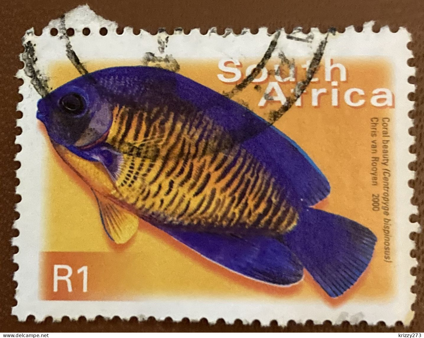 South Africa 2000 Fish Centropyge Bispinosus R1 - Used - Usados