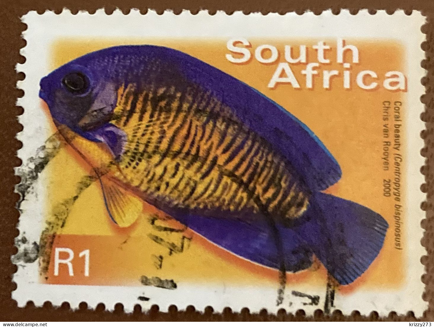 South Africa 2000 Fish Centropyge Bispinosus R1 - Used - Gebruikt