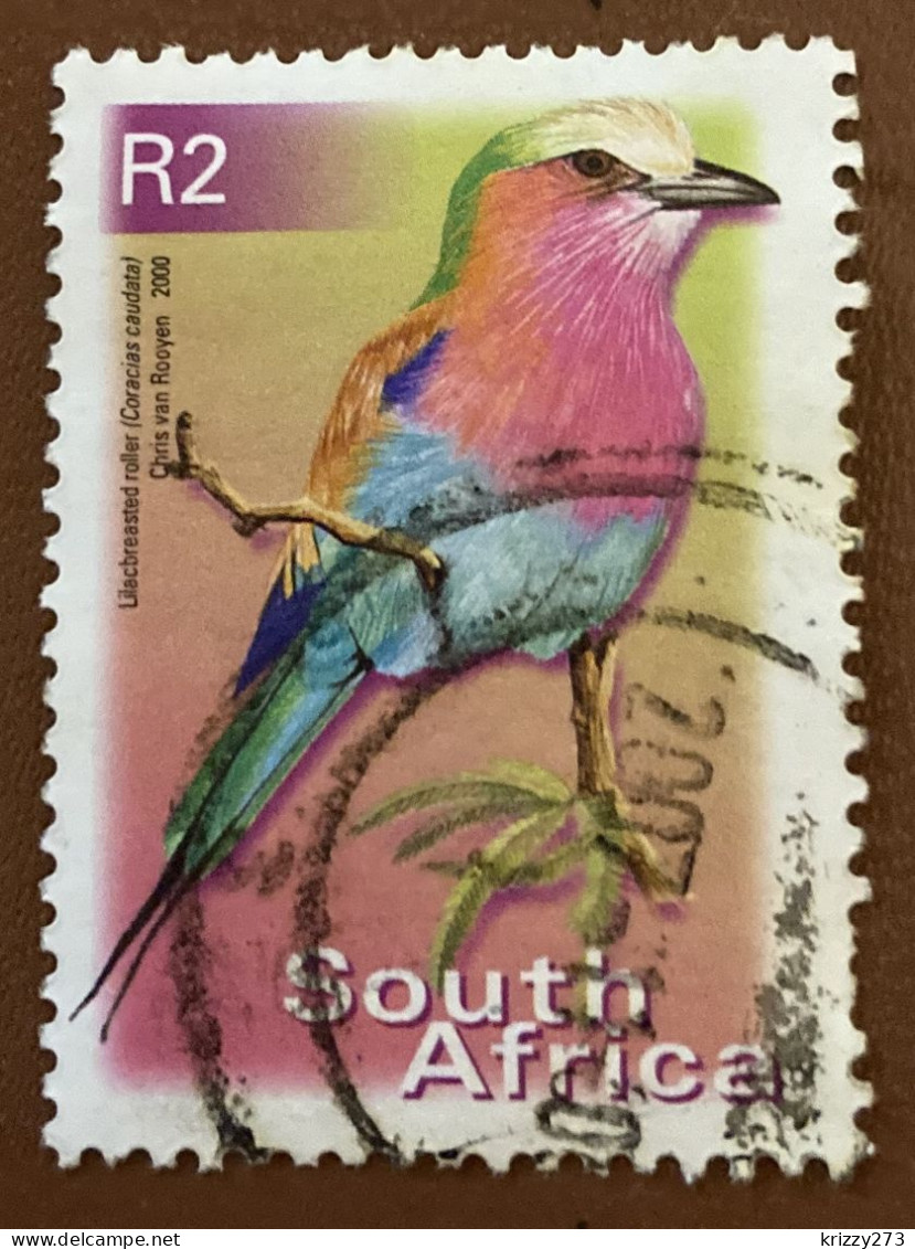 South Africa 2000 Bird Coracias Caudata R2 - Used - Usati