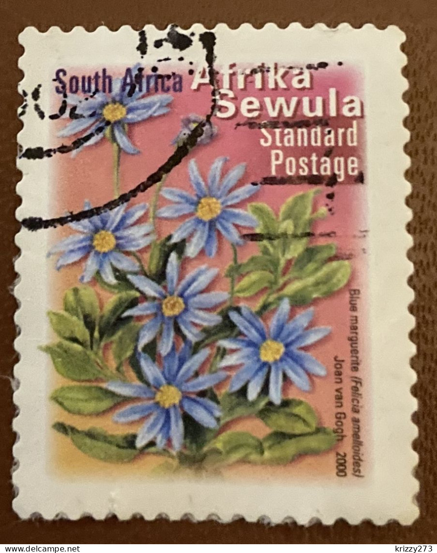 South Africa 2001 Fauna And Flora - Self-Adhesive Felicia Amelloides 1.40 - Used - Usati