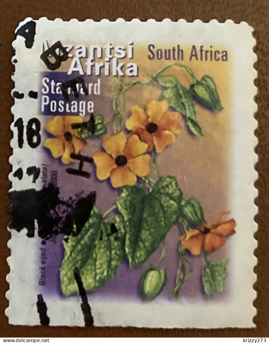 South Africa 2001 Fauna And Flora - Self-Adhesive Thunbergia Alata 1.40 - Used - Gebraucht