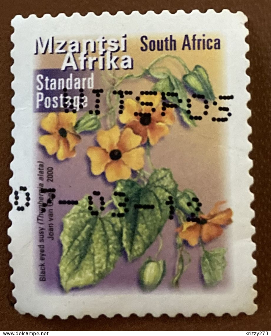 South Africa 2001 Fauna And Flora - Self-Adhesive Thunbergia Alata 1.40 - Used - Gebruikt