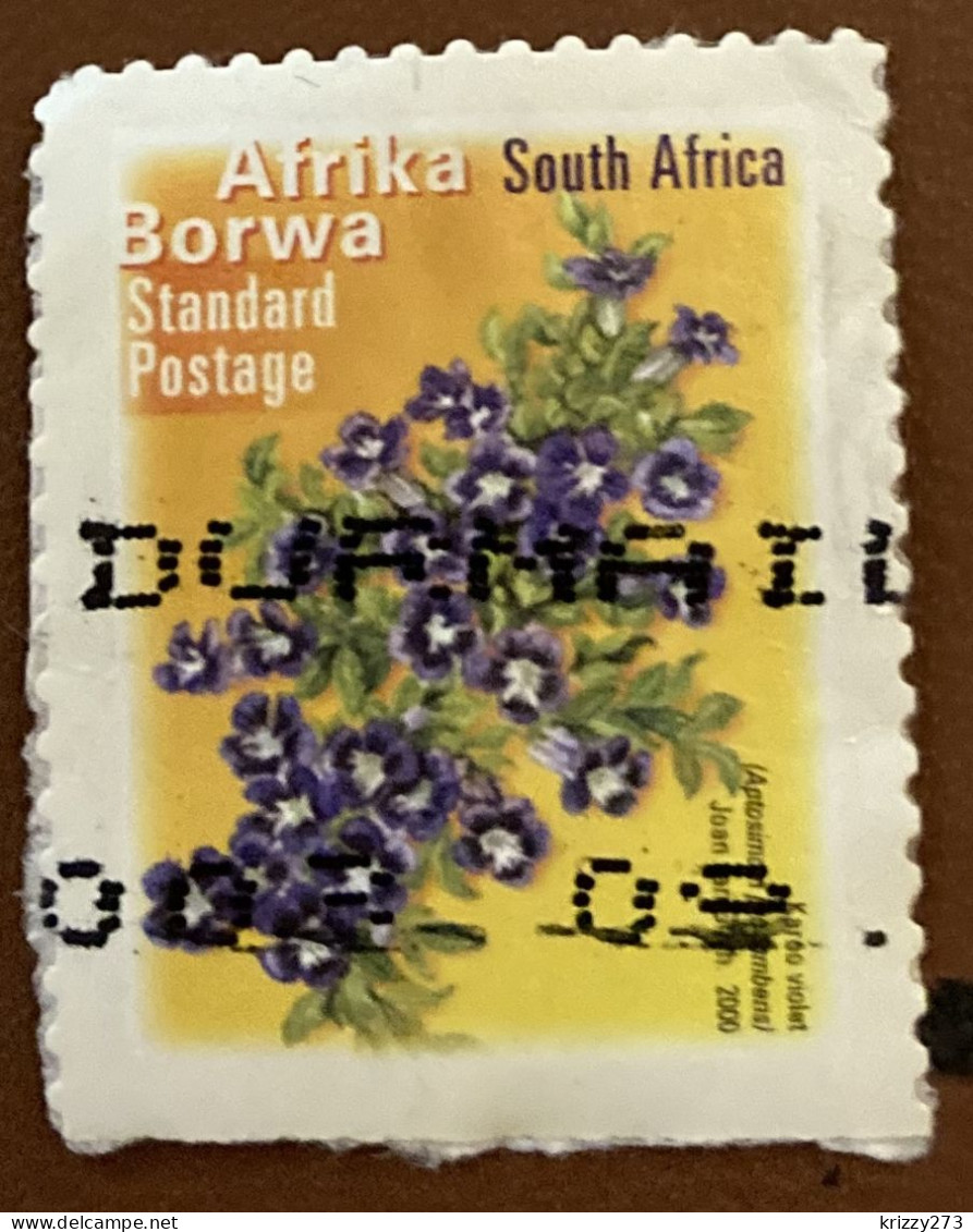 South Africa 2001 Fauna And Flora - Self-Adhesive Aptosimum Procumbens 1.40 - Used - Oblitérés