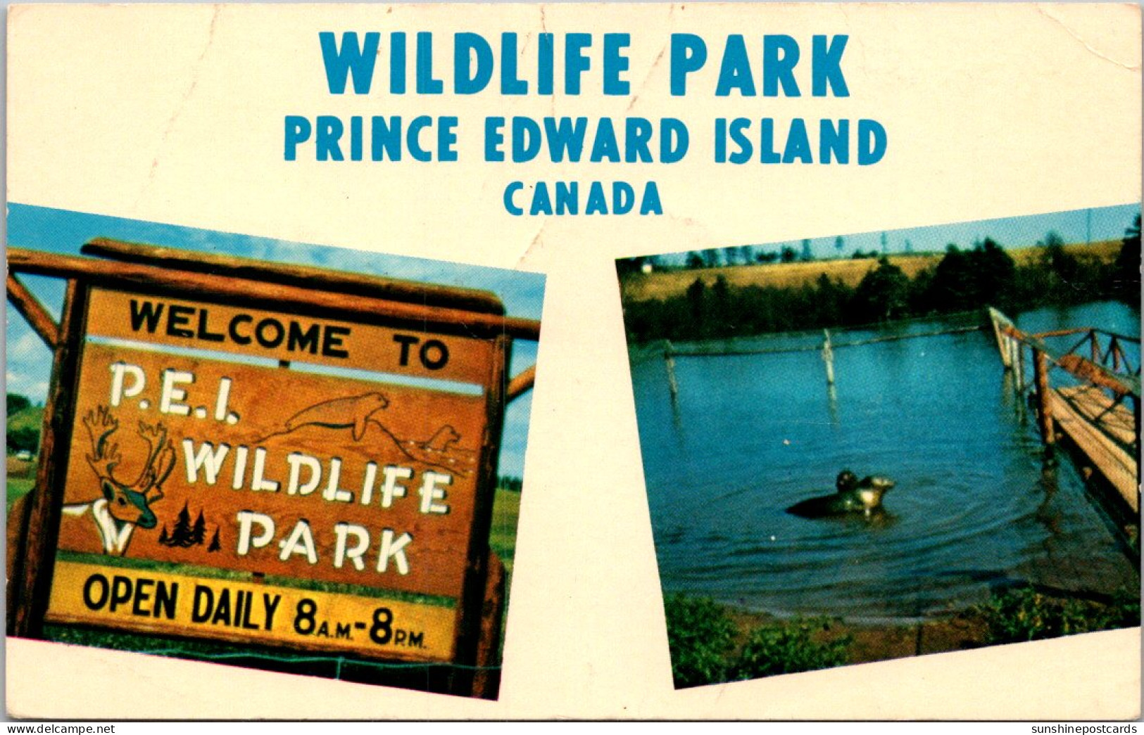 Canada Prince Edward Island Wildlife Park Near The Village Of North Rustico - Otros & Sin Clasificación