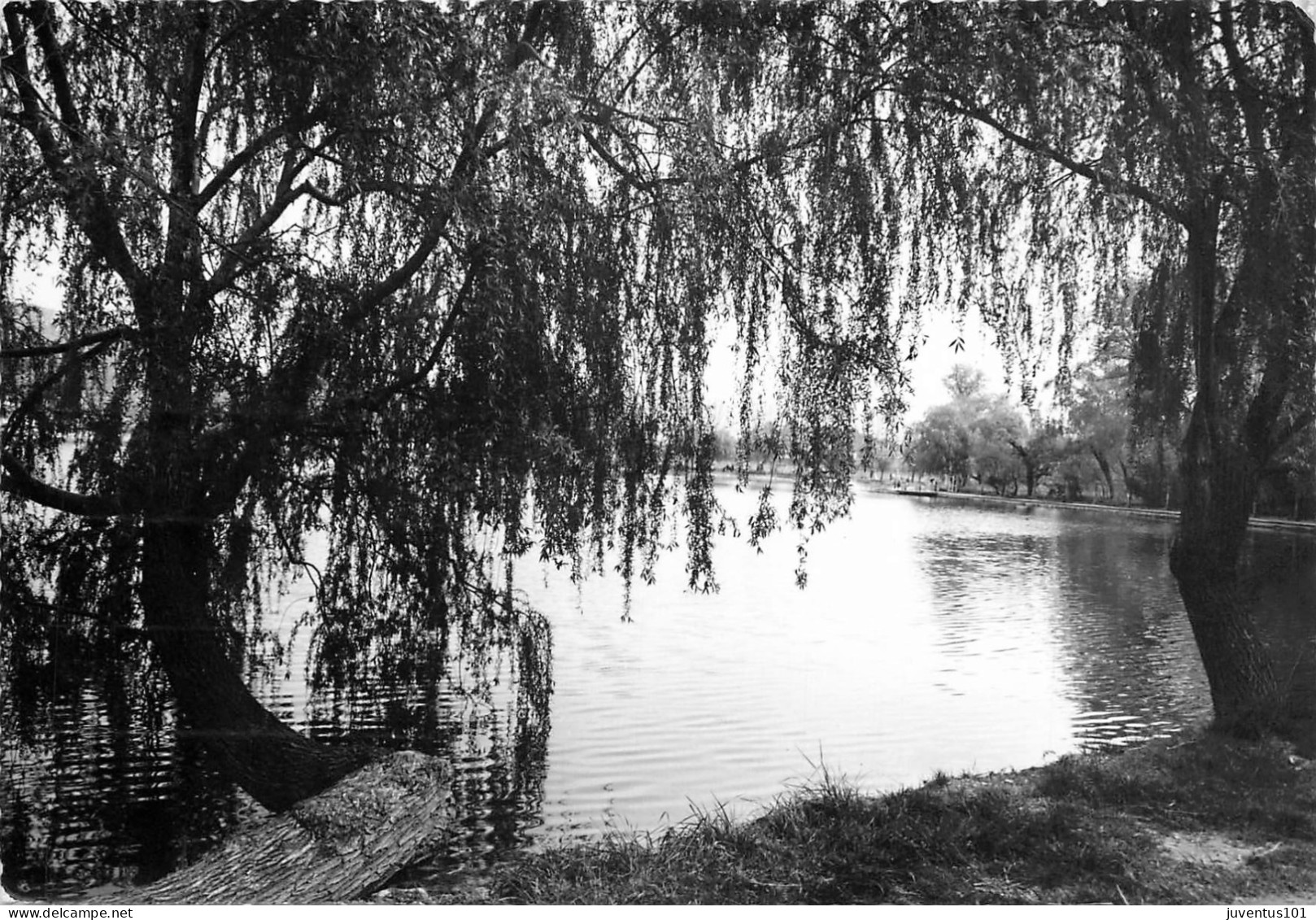 CPSM Besse Sur Issole-Les Berges Du Lac-Timbre-RARE      L2311 - Besse-sur-Issole