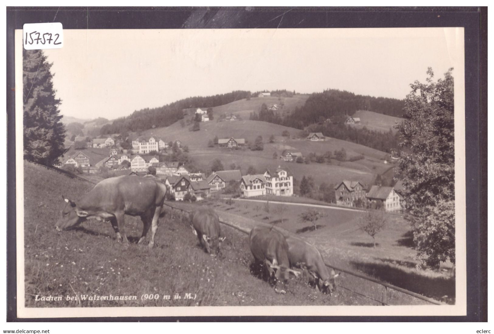 LACHEN BEI WALZENHAUSEN - TB - Walzenhausen